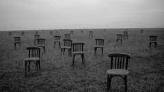 Nature chairs