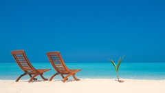 Nature chairs Beaches