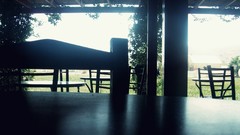 Nature chairs Tables clean