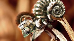 Nature chameleons