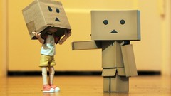 Nature children dolls boxes vintage danboard artwork