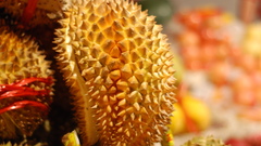 Nature China fruits tropical