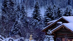 Nature Christmas Wood