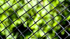 Nature close-up fences blurred background Chain Link Fence