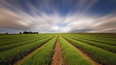 Nature clouds blurred fields digital art