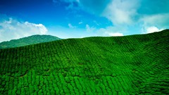 Nature clouds bright Green fields HDR Photography skyscapes