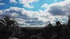 Nature clouds California palm trees skyscapes valleys selective 
