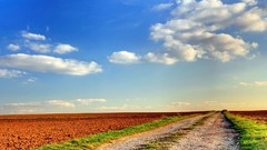 Nature clouds crop skyscapes