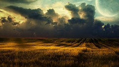 Nature clouds fields outdoors skies