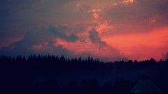 Nature clouds forests