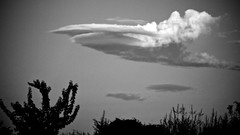 Nature clouds grayscale