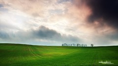 Nature clouds Green fields
