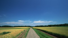 Nature clouds roads fields forests skyscapes