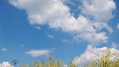 Nature clouds skyscapes