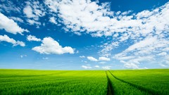 Nature clouds summer