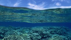 Nature clouds underwater