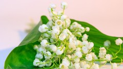 Nature complex magazine