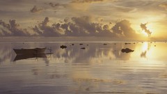 Nature Cook Islands Islands tropical