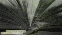 Nature copy Another one