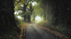 Nature country autumn