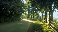 Nature country Drive roads