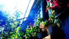 Nature country House