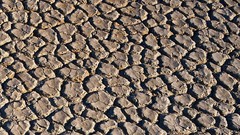 Nature cracks mud deserts