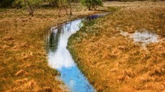 Nature crescent Trey Ratcliff