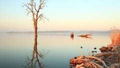 Nature Czech Republic Nove Mlyny