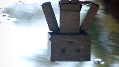 Nature danboard