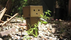 Nature danboard artwork