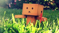 Nature danboard artwork