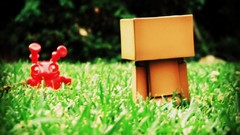 Nature danboard artwork