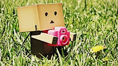 Nature danboard artwork