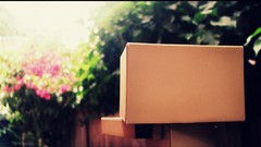 Nature danboard artwork