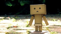 Nature danboard artwork