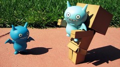 Nature danboard artwork