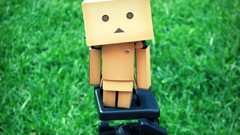 Nature danboard artwork