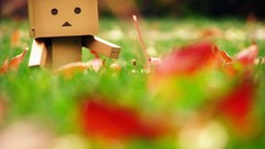 Nature danboard artwork