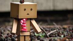 Nature danboard artwork