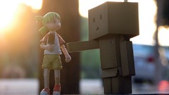 Nature danboard artwork