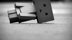 Nature danboard artwork