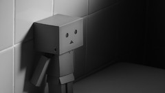 Nature danboard artwork