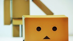 Nature danboard artwork