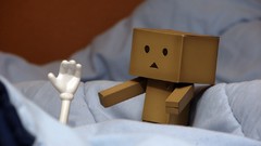 Nature danboard artwork