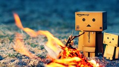 Nature danboard artwork campfire