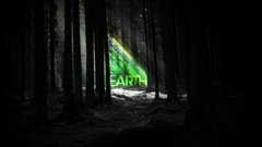 Nature dark forests Earth
