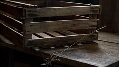 Nature depth of field