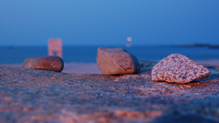 Nature depth of field