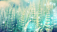 Nature Desktopography